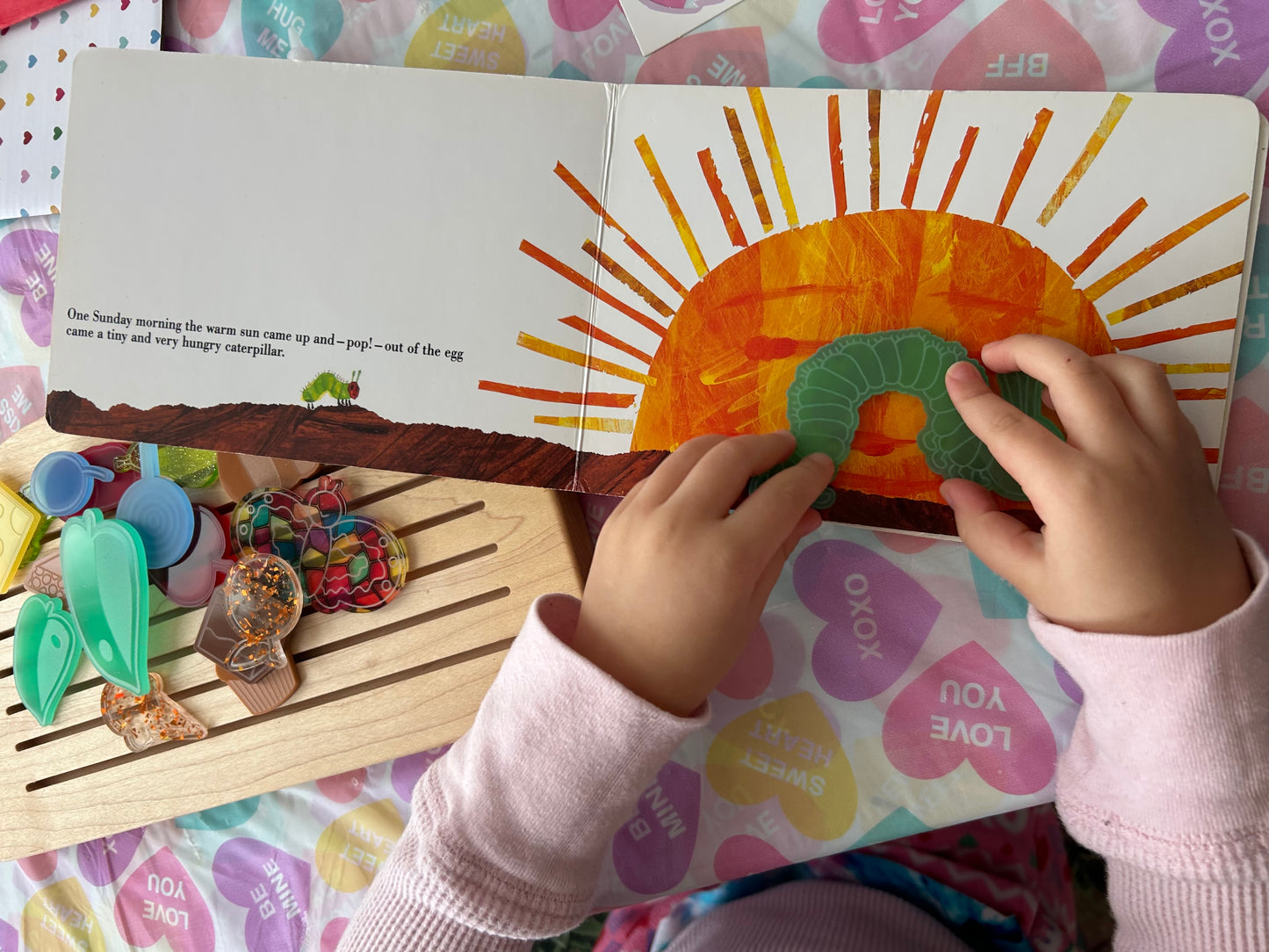 Hungry Caterpillar Acrylic Loose parts set