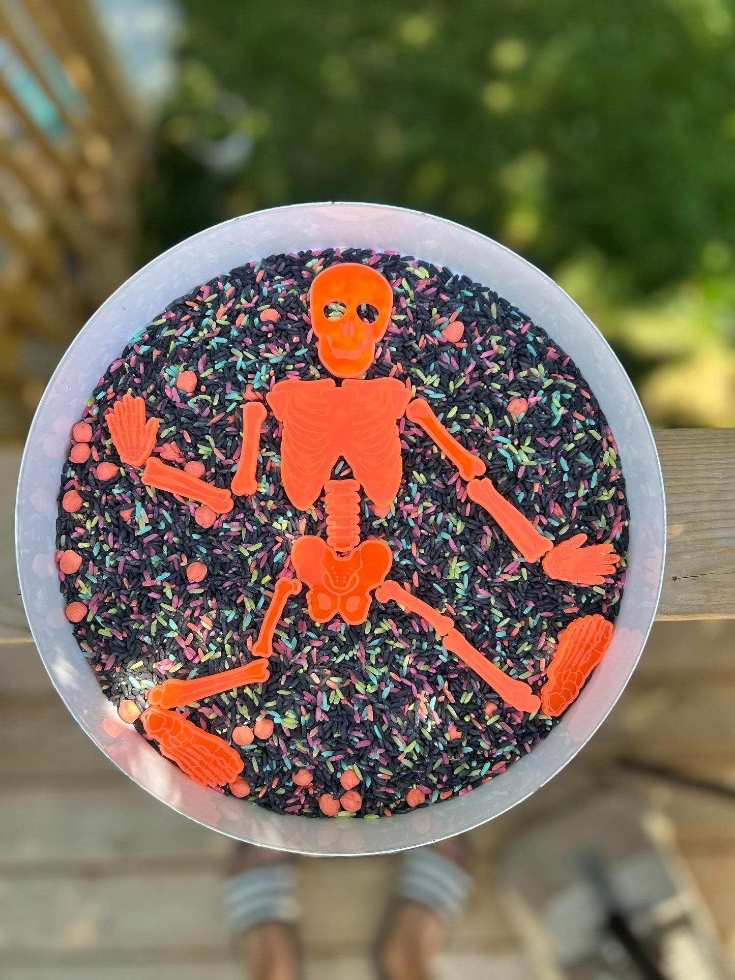 Glow in the Dark acrylic skeleton pieces