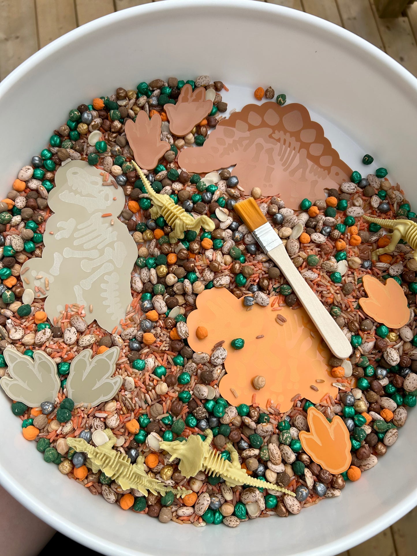 Dinosaur fossil Sensory Kit