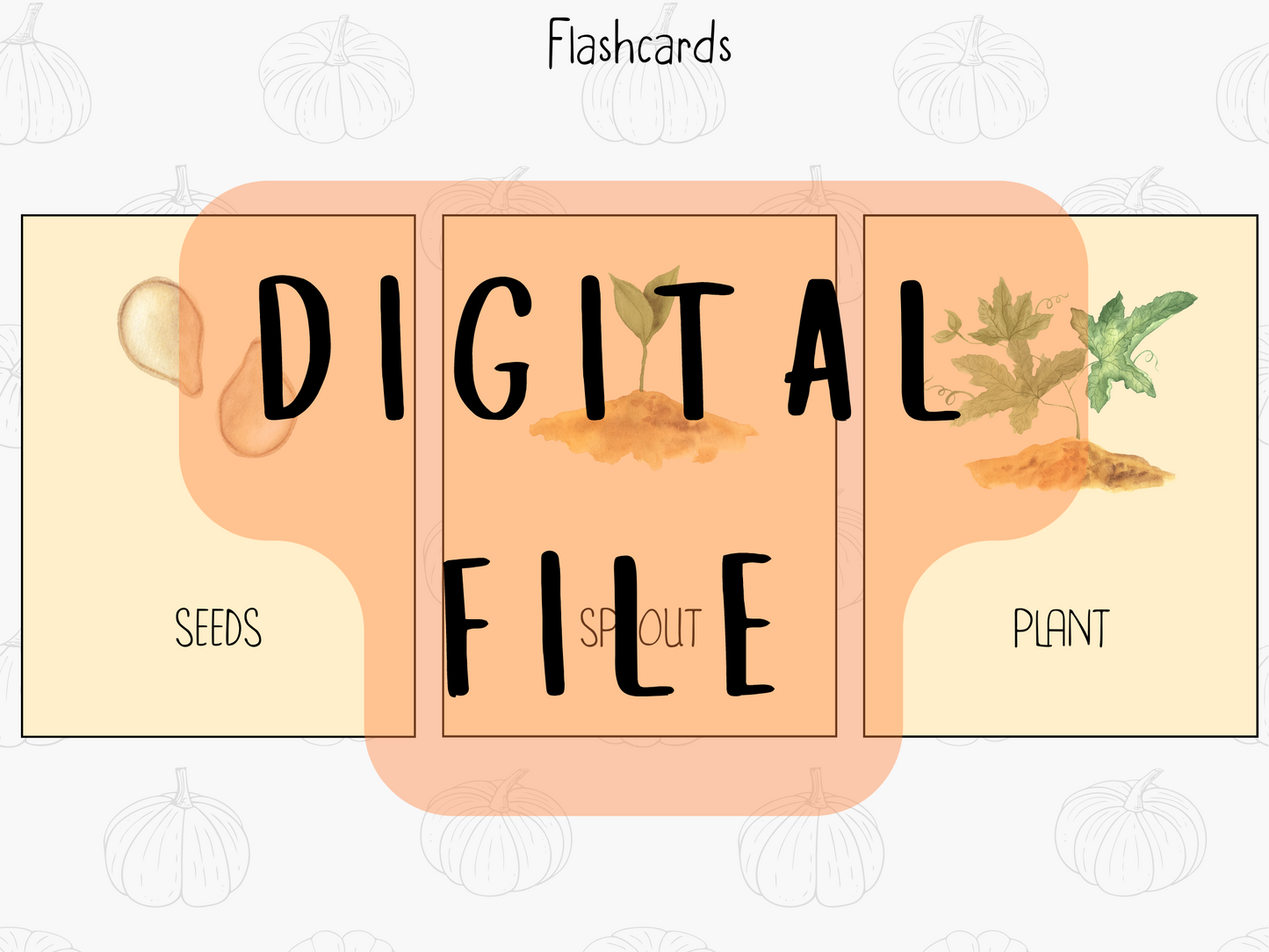 Pumpkin Life Cycle - PDF