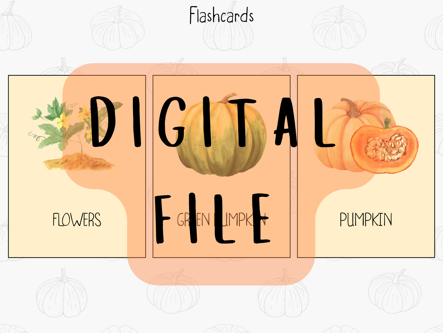 Pumpkin Life Cycle - PDF