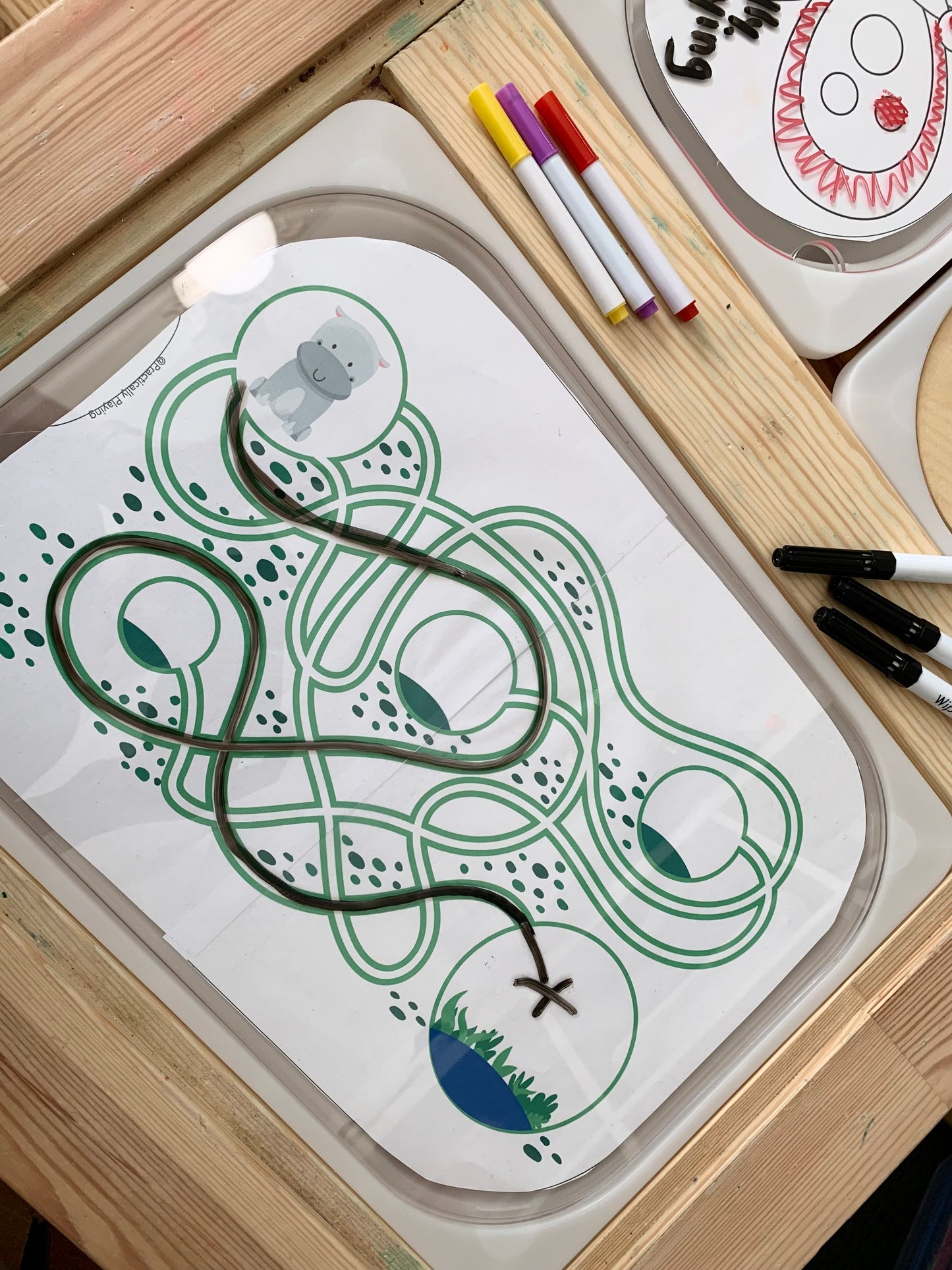 Large & Small Clear Acrylic Flisat Insert