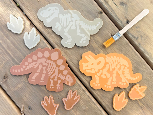 Acrylic Dino Fossil Set