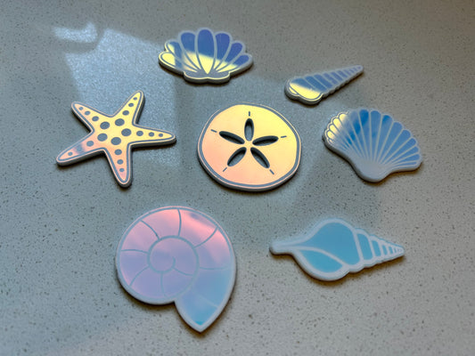 Sea Shells Pack - Iridescent Acrylic loose parts