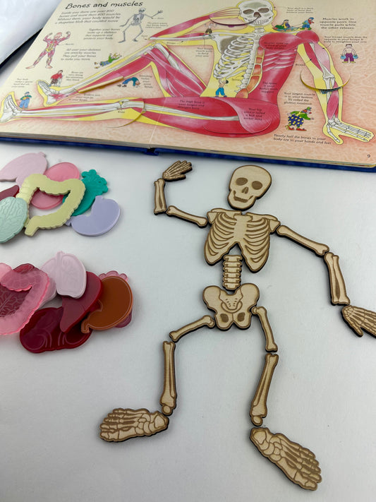 Wood Skeleton Pieces - Loose parts