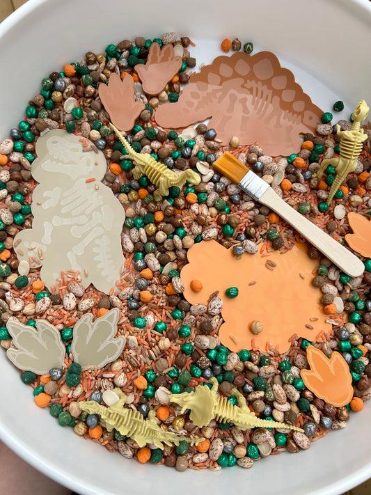 Dinosaur fossil Sensory Kit