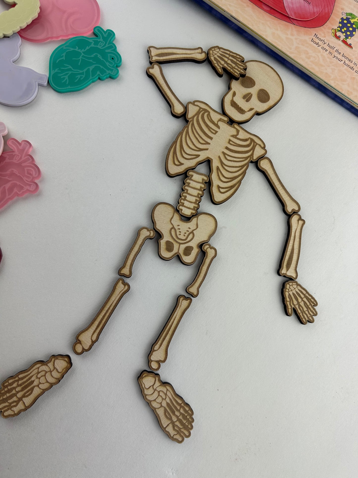 Wood Skeleton Pieces - Loose parts