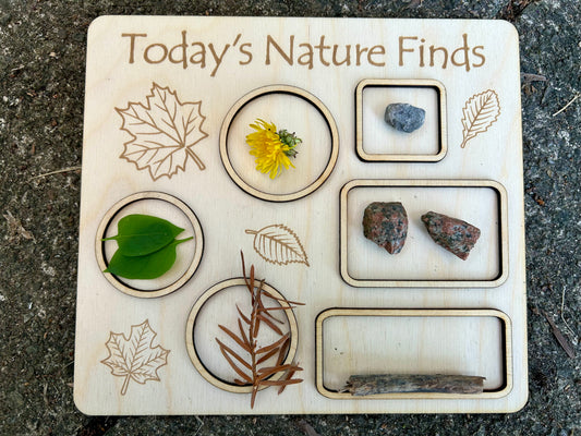 Nature Finds Collection Board