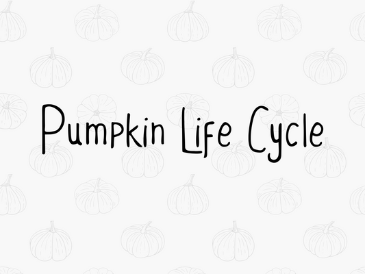 Pumpkin Life Cycle - PDF
