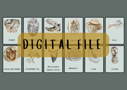 Fossils - Flashcards PRINTABLE