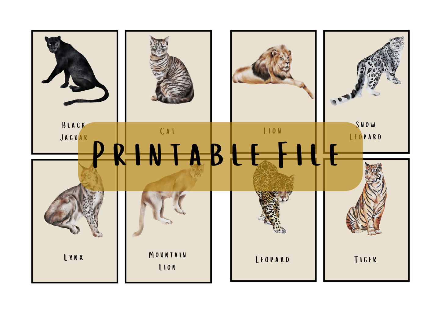 Wild Cats Flashcards - Printable